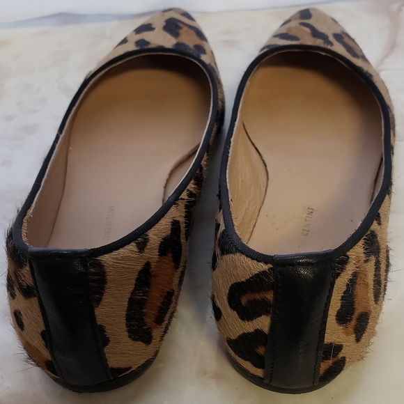Mercanti Fiorentini Leopard Print Flats 6.5 - Picture 3 of 4